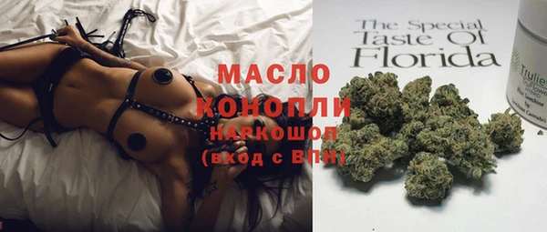 амф Вяземский