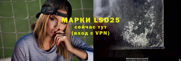 амф Вяземский