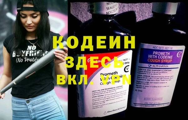 амф Вяземский