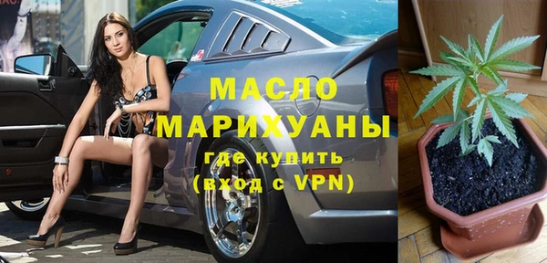 амф Вяземский
