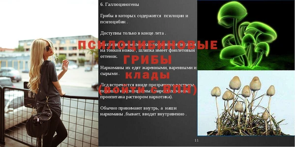 хмурый Вязьма