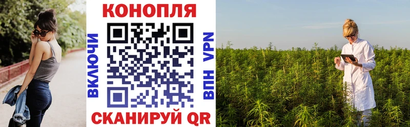 МАРИХУАНА сатива где найти Барнаул